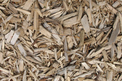 biomass boilers Patchacott